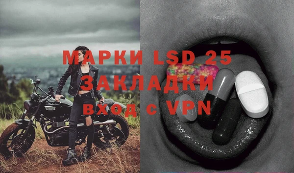 ешки Арсеньев
