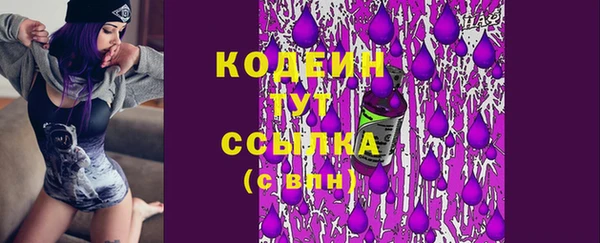 ешки Арсеньев