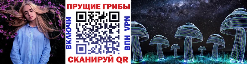 Псилоцибиновые грибы Psilocybe  где найти   Пучеж 